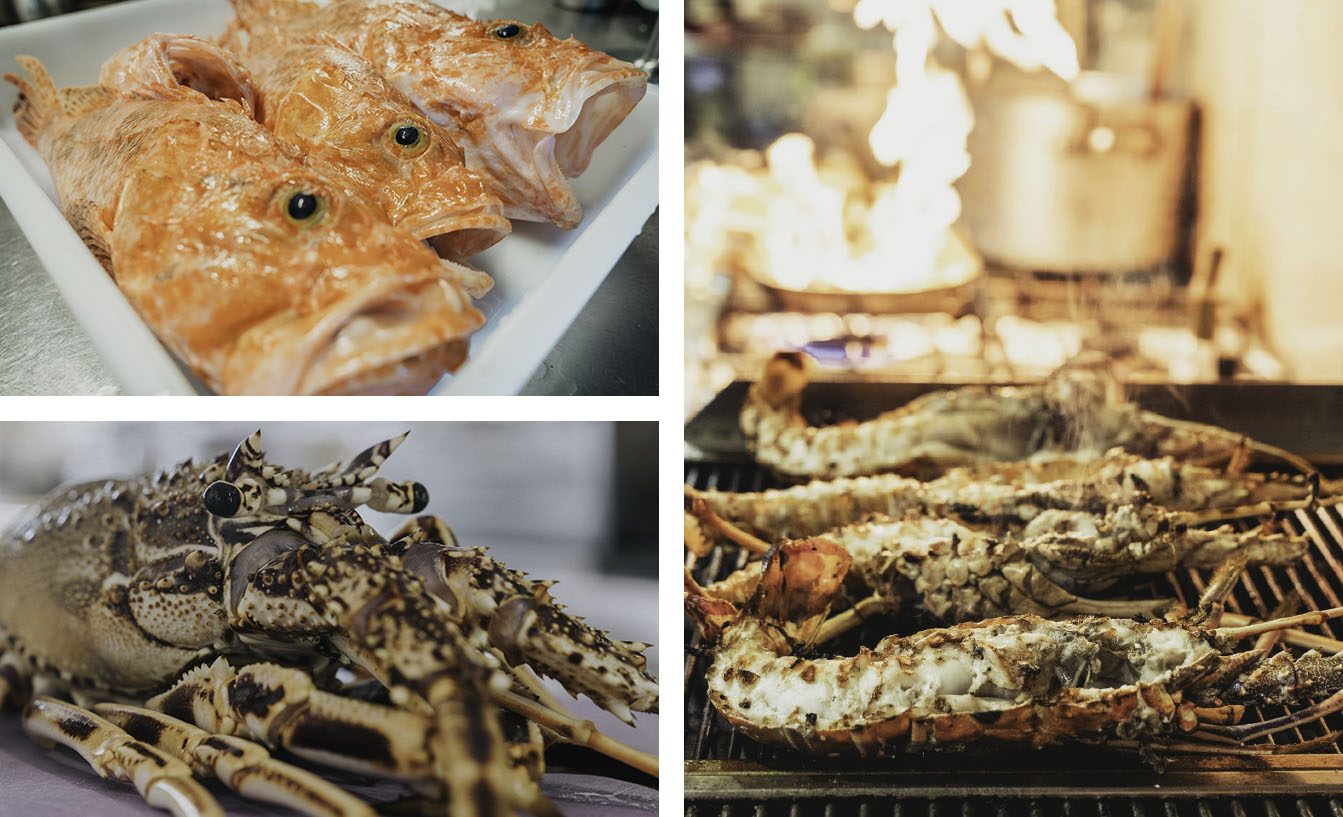 Restaurant Axinos - Fresh fish, meats and seafood - Avlomonas, Serifos