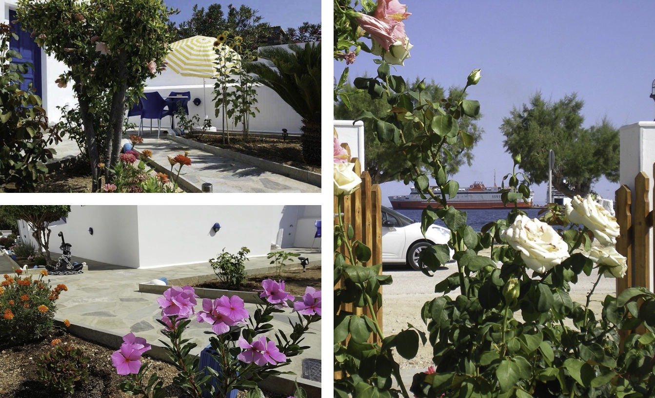Rooms to let and studios - Studios Agira